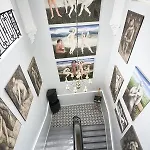 Maison D'art * Quillan